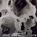 多孔質連続間隙構造ミラクルソル顕微鏡写真