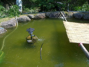 写真1　水質浄化用ミラクルソルを使った池の浄化　稼働前