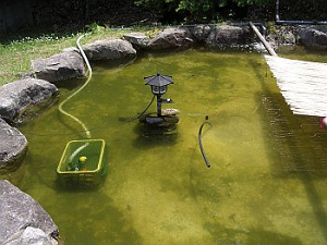 写真2　水質浄化用ミラクルソルを使った池の浄化　設置から約3週間後