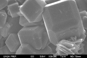 粉末ゼオライトの電子顕微鏡写真