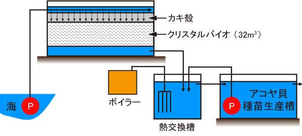 アコヤ貝種苗生産槽浄化システムイメージ図