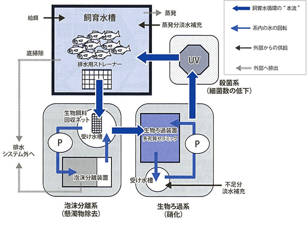 マグロ飼育研究施設浄化システムイメージ図