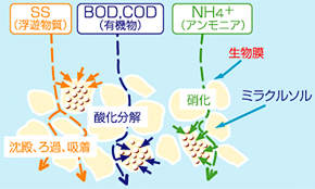 水質浄化イメージ図