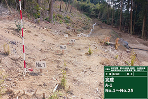 上内野川良地区県営地すべり対策事業工事 完成