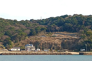 全景