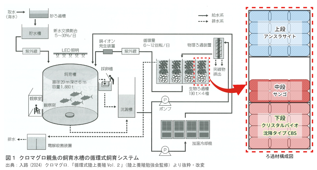 マグロ飼育研究施設浄化システムイメージ図