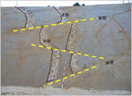 切土面に露出する岩脈および断層