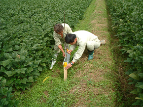 用地測量作業３